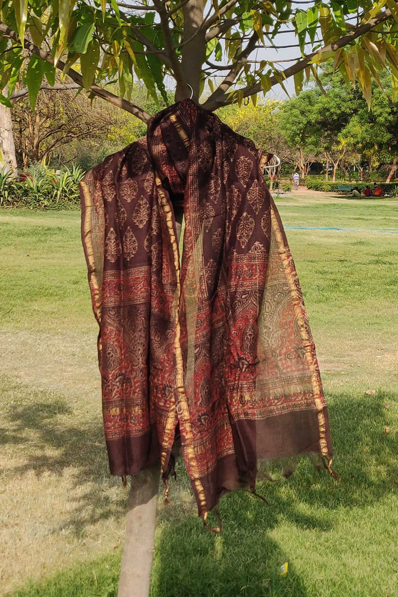 Brown Pine Chanderi Cotton Silk Dupatta with Ajrakh Handblock
