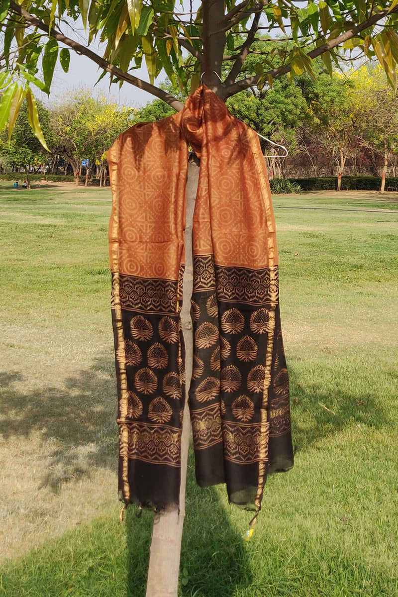 Squares and Circles Chanderi Cotton Silk Dupatta with Ajrakh Handblock